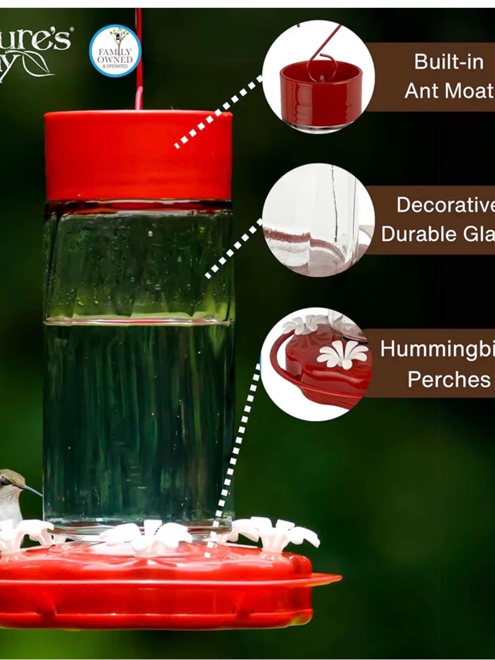 Hummingbird feeder - Picture 2 of 3